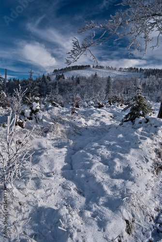 winter Beskid Slaski mountains in Poland with tree branch, snow, Malinowska Skala hill and blue sky with clouds photo