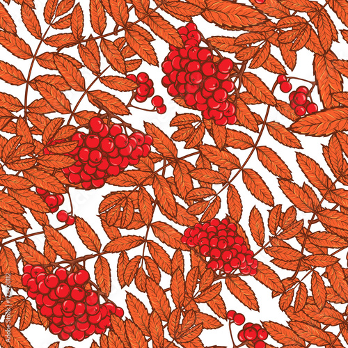 Autumn rowanberry leaves and berries. Detailed intricate hand drawing. Chaotic distribution of elements. Red on white seamless pattern. EPS10 vector illustration.