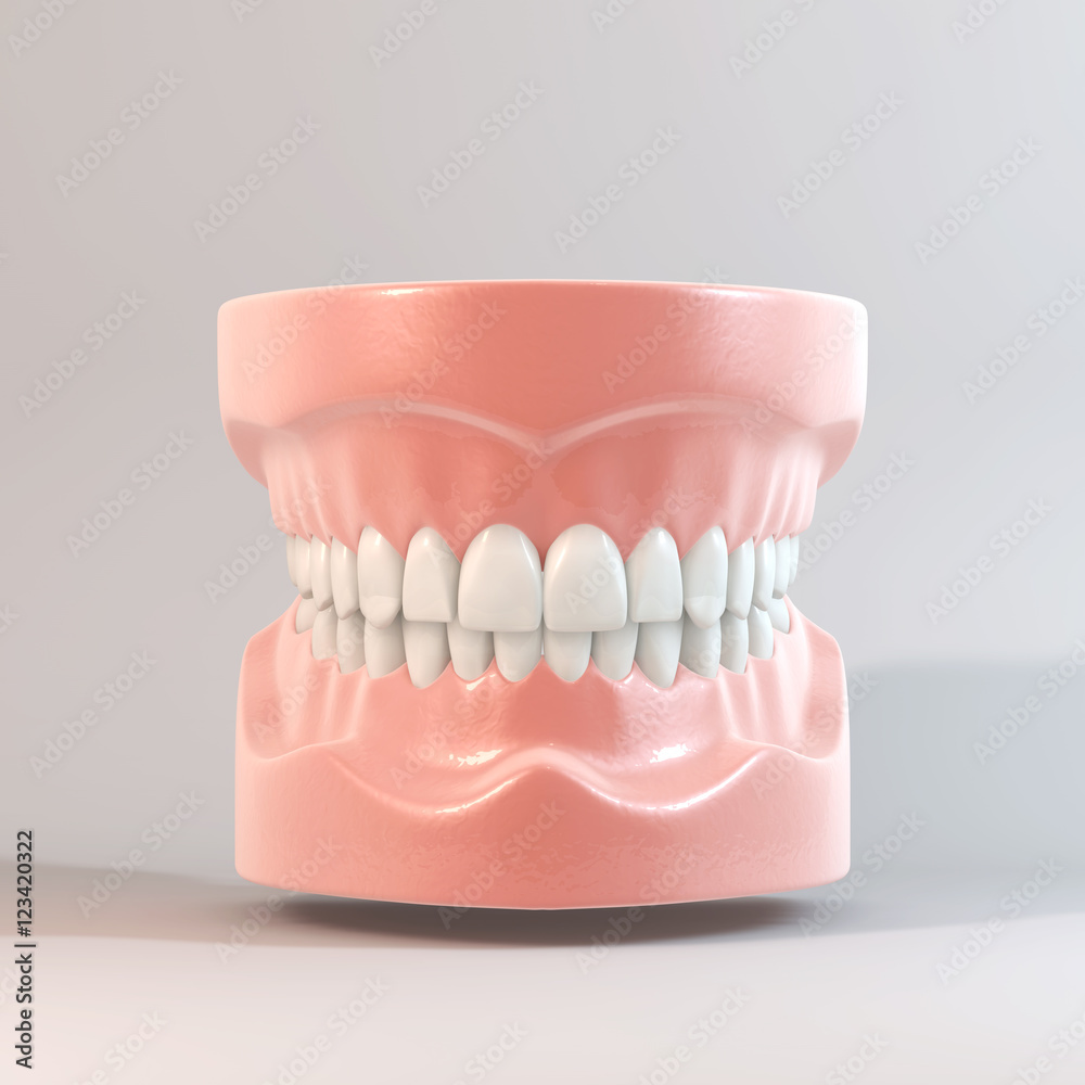 Obraz premium 歯のCG