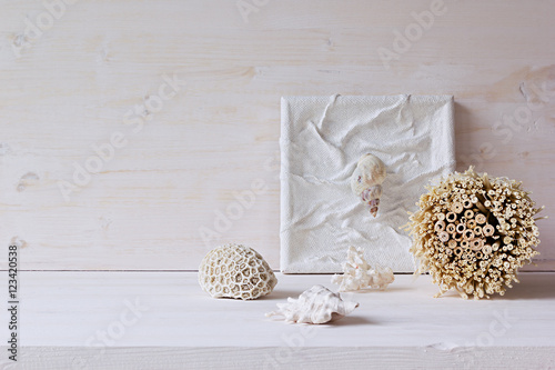 Soft home decor; shells and corals on white wooden background. Interior.