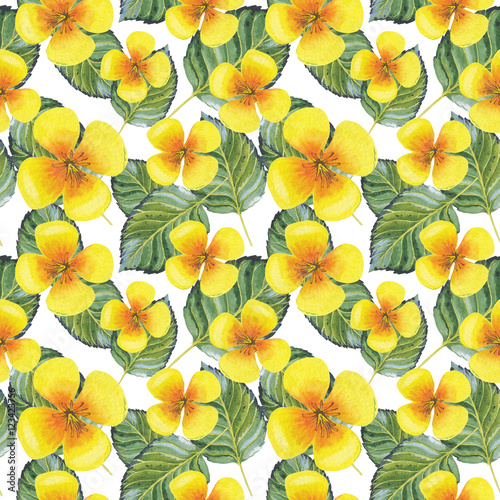 Wildflower clematis flower pattern in a watercolor style isolated. Aquarelle wild flower for background, texture, wrapper pattern, frame or border.