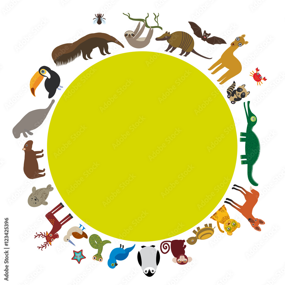 Fototapeta premium Round frame. Sloth anteater toucan lama bat seal armadillo boa manatee monkey dolphin Maned wolf raccoon jaguar Hyacinth macaw lizard turtle crocodile deer penguin Blue-footed booby Capybara. Vector