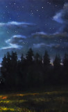 nocturnal landscape with forest, skies and meadow, painting and computer graphic.