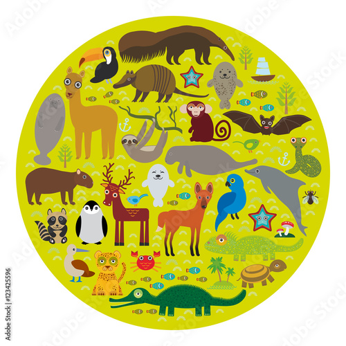 South America sloth anteater toucan lama bat seal armadillo boa manatee monkey dolphin Maned wolf raccoon jaguar Hyacinth macaw lizard turtle crocodile deer penguin Blue-footed booby Capybara. Vector photo