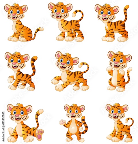 Fototapeta Naklejka Na Ścianę i Meble -  Tiger cartoon set collection