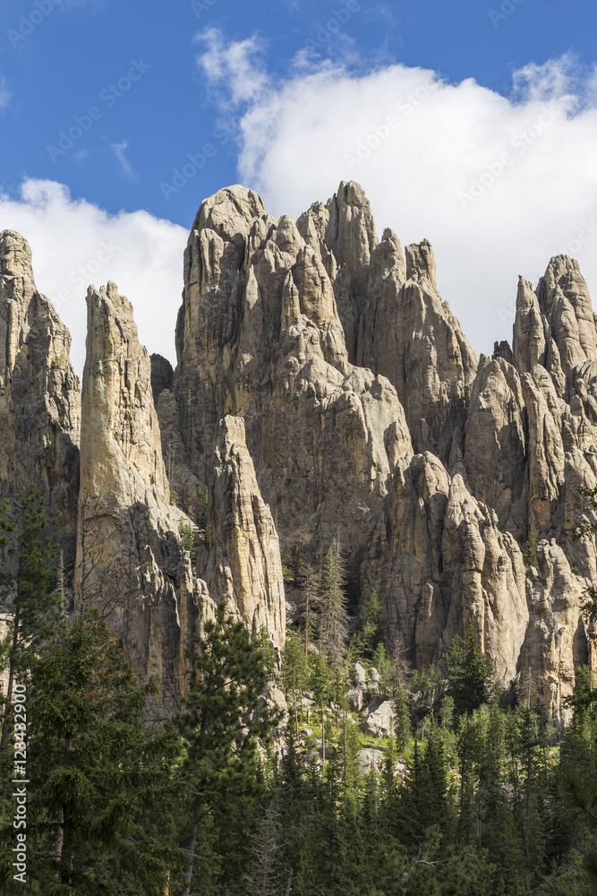 Cathedral Spires / Scenic rock formations in the Black Hills of South Dakota.