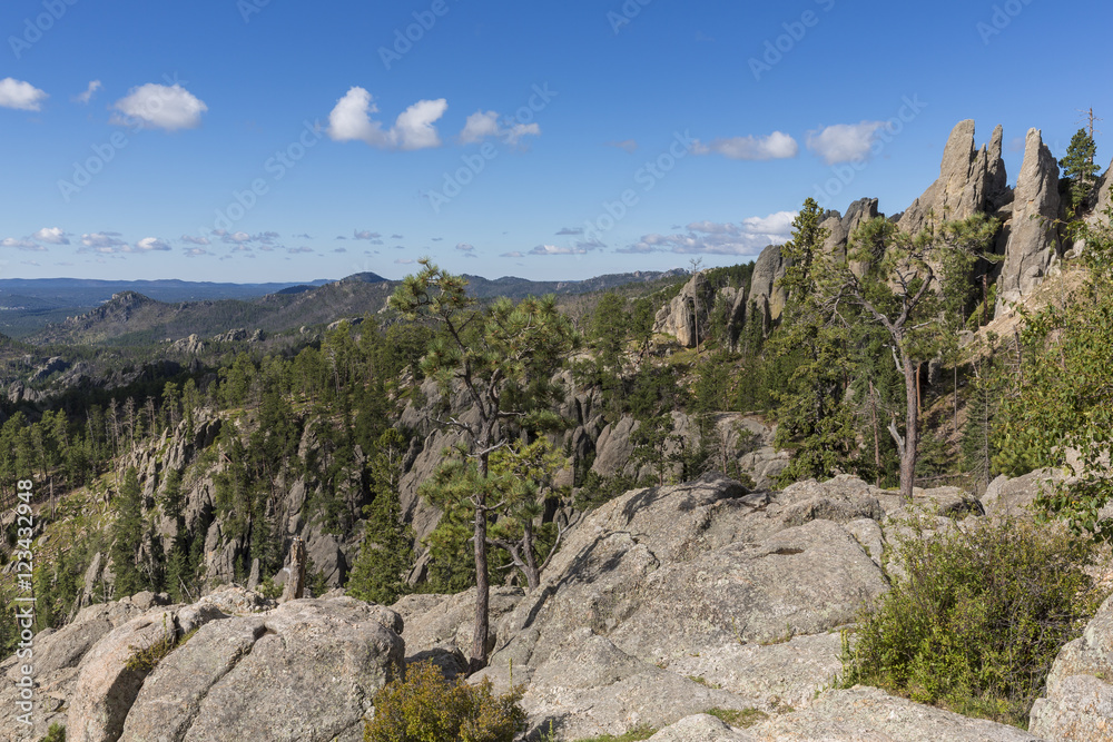 Fototapeta premium Black Hills Scenic