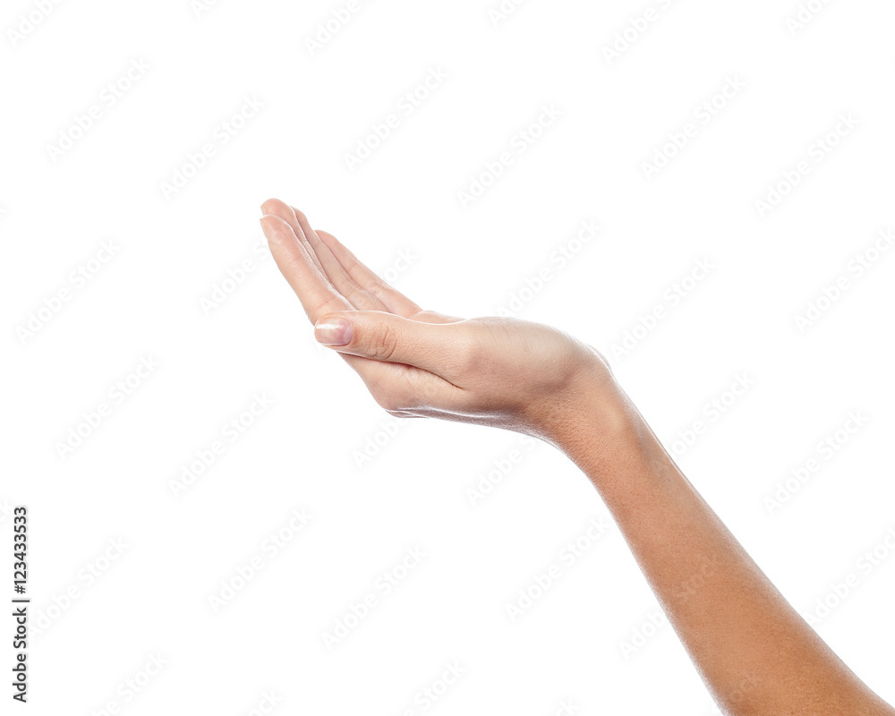 Woman's hand with palm up StockFoto Adobe Stock