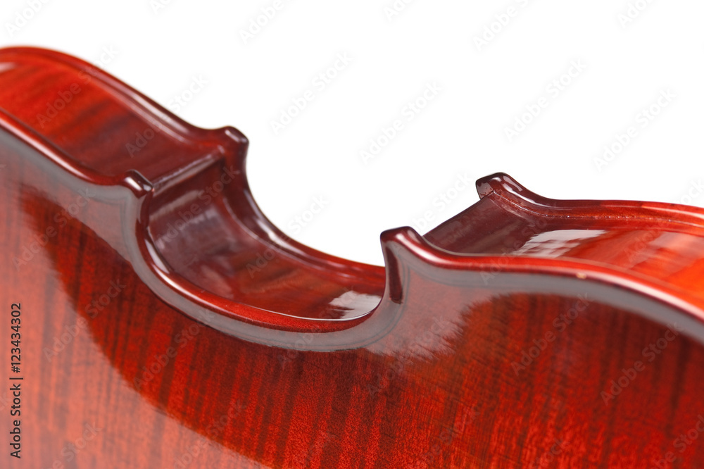 Obraz premium violin isolated on white