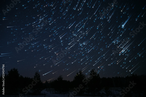 star tracks sky forest