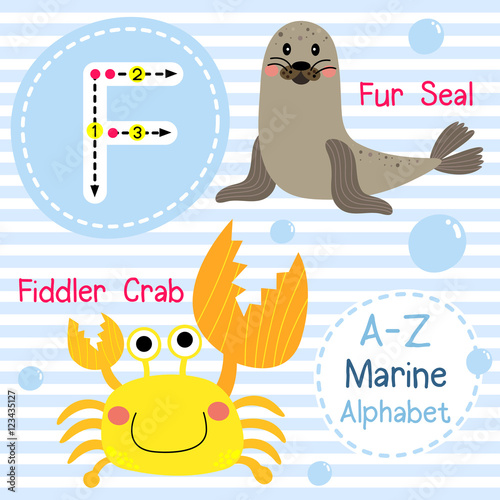 F letter tracing. Fiddler Crab. Fur Seal. Cute children sea marine alphabet flash card. Funny cartoon animal. Kids abc education. Learning English vocabulary. Vector illustration.