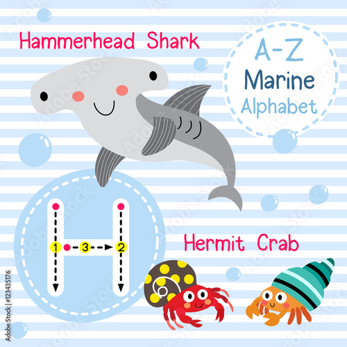 H letter tracing. Hermit Crab. Hammerhead Shark. Cute children sea marine alphabet flash card. Funny cartoon animal. Kids abc education. Learning English vocabulary. Vector illustration. Stock Vector | Adobe Stock H letter tracing. Hermit Crab. Hammerhead Shark. Cute children sea marine alphabet flash card. Funny cartoon animal. Kids abc education. Learning English vocabulary. Vector illustration. Stock Vector | Adobe Stock