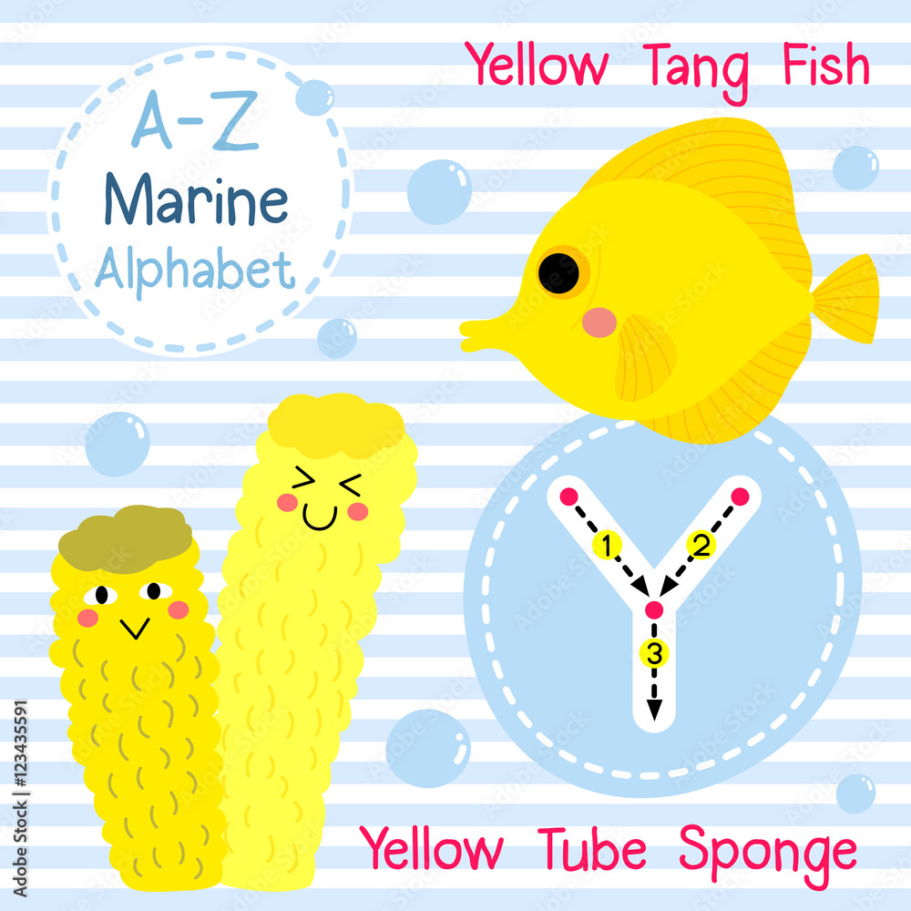 Y letter tracing. Yellow Tang Fish. Yellow Tube Sponge. Cute children sea  marine alphabet flash card. Funny cartoon animal. Kids abc education.  Learning English vocabulary. Vector illustration. Stock Vector | Adobe Stock