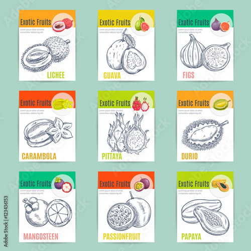 Exotic fruits poster with sketch drawings