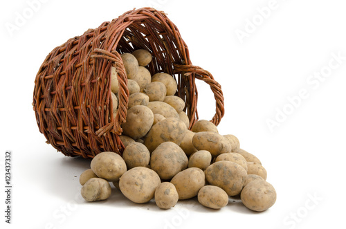 Kartoffeln im Weidenkorb