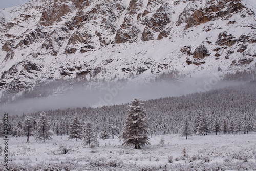 Mountain valley after a snowfall. Cherskogo Ridge, Yakutia, Russia.