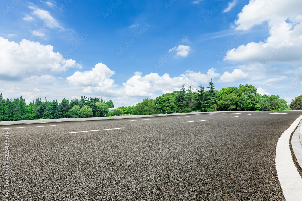 asphalt road in front of the green woods