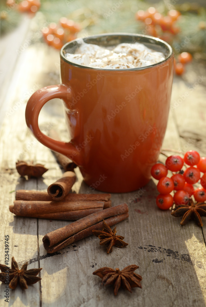 Cocoa or cup of coffee with tasty marshmallows, fir tree branch with red rowan tree berries. Still life on old rustic wooden table under bright sun lights of sunrise Cocoa or cup of coffee with tasty marshmallows, fir tree branch with red rowan tree berries. Still life on old rustic wooden table under bright sun lights of sunrise