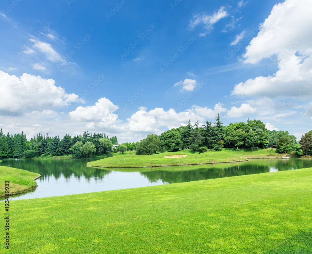 Fototapeta premium green grass and woods on a golf field