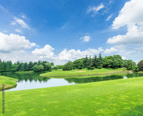 green grass and woods on a golf field