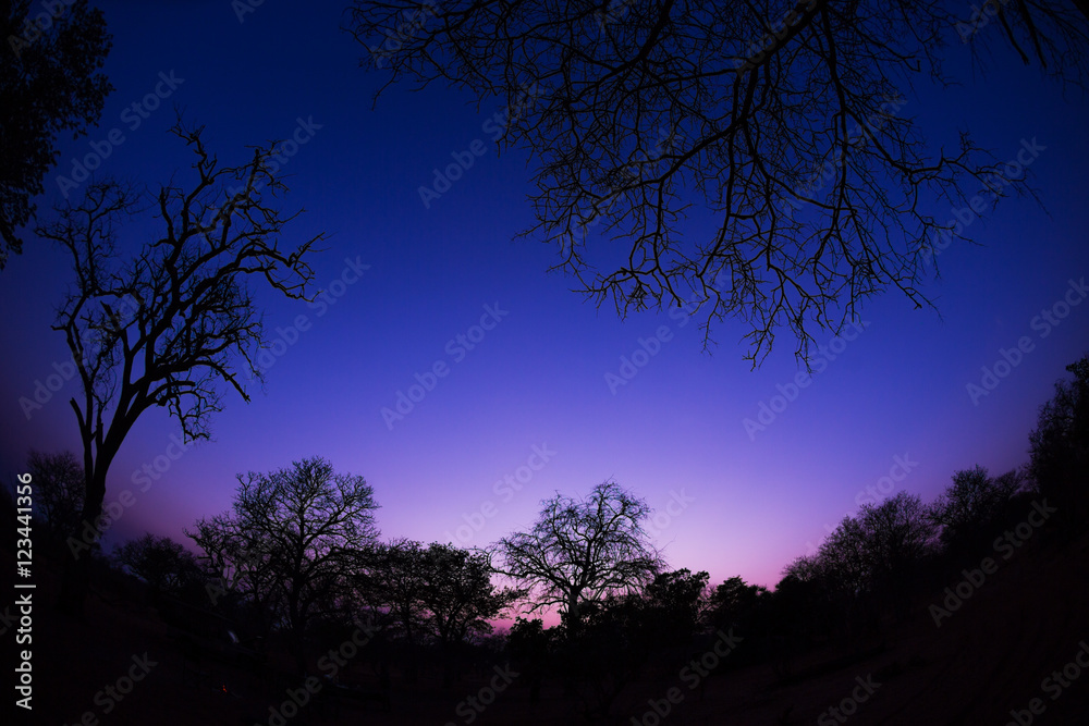 Sunset
Sunset