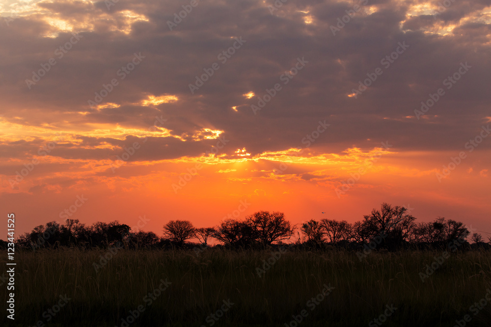 Sunset
Sunset