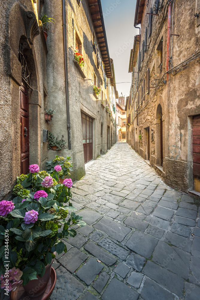 The streets of an unknown town in Tuscany, Castel del Piano, Ita