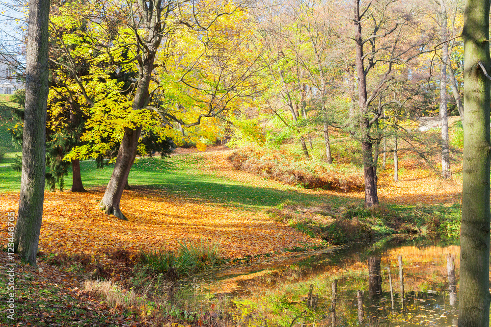 path in fall park with golden leaves with pond