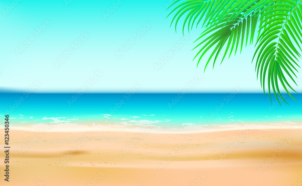 sandy beach summer sea background with palm tree