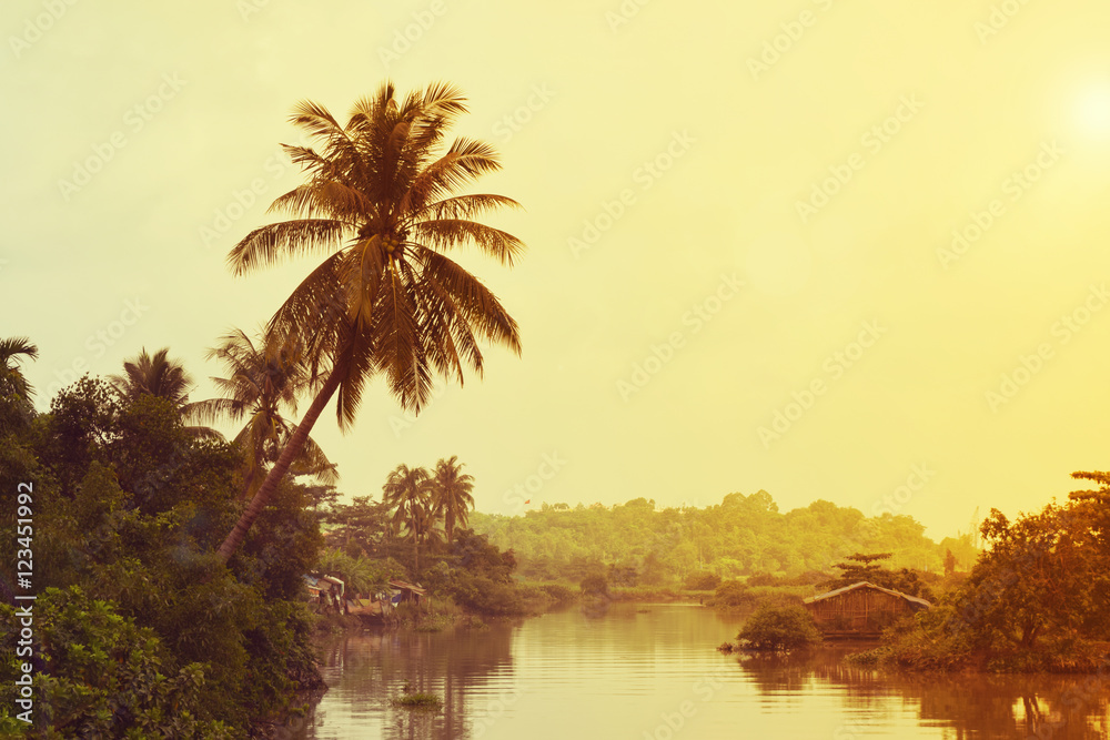 Obraz premium tropical river