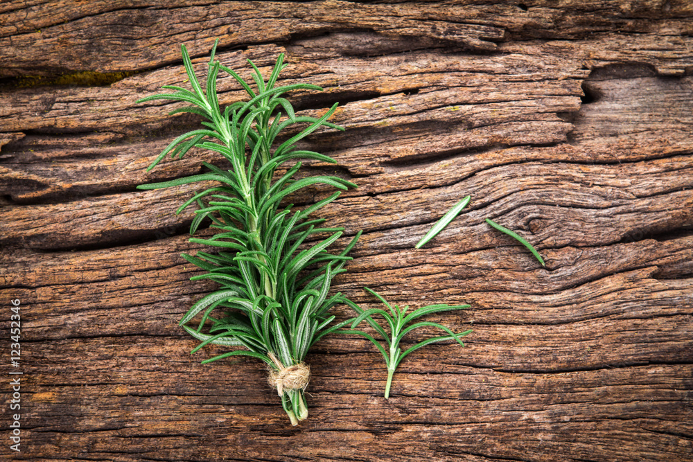 Fresh green Rosemary bound on a wooden board Fresh green Rosemary bound on a wooden board