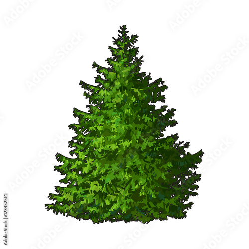 Fluffy Christmas tree with no decorations, sketch style vector illustration isolated on white background. Evergreen tree, Christmas decoration