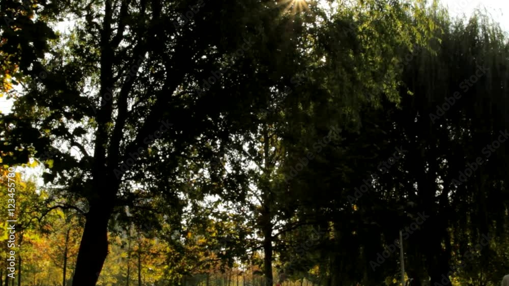 Beautiful Autumn Afternoon In Park, Sun Sparkling Between Trees, People Walking Beautiful Autumn Afternoon In Park, Sun Sparkling Between Trees, People Walking