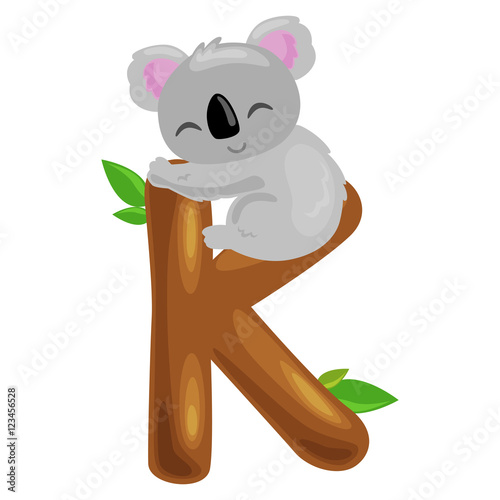 letter K with koala animal for kids abc education in preschool.