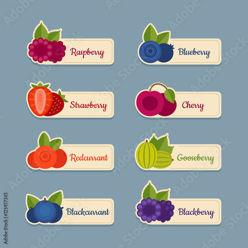 Berry icon set. Labels with berries. Flat style, vector illustration.