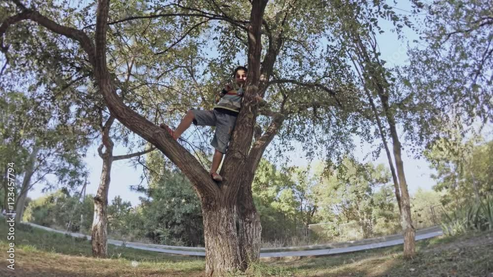 A boy climbs on branches of a tree A boy climbs on branches of a tree