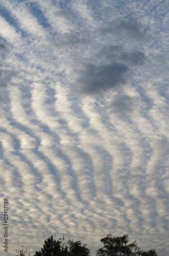 Undulated cloud,  altostratus cloud