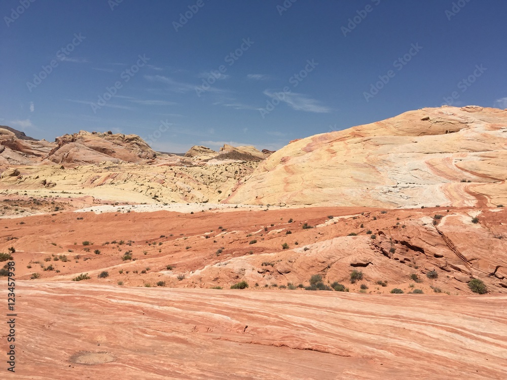 Fototapeta premium track to fire wave, valley of fire state park, nevada 