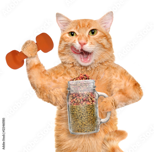 Fototapeta Naklejka Na Ścianę i Meble -  Fitness cat holding dry food in a jar mug old after a workout . Fitness and healthy lifestyle concept.