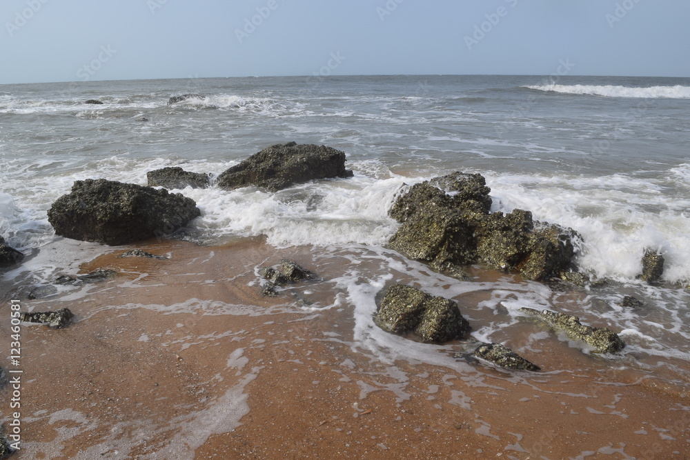 tropical beach tropical beach