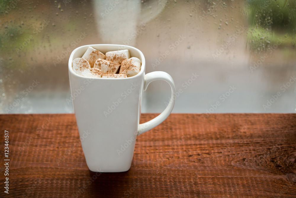 Large cup of coffee with marshmallows on the window in the rain. Large cup of coffee with marshmallows on the window in the rain.