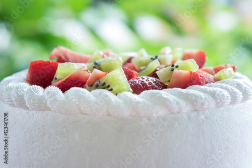 Canvas Print Strawberry and kiwi shortcake