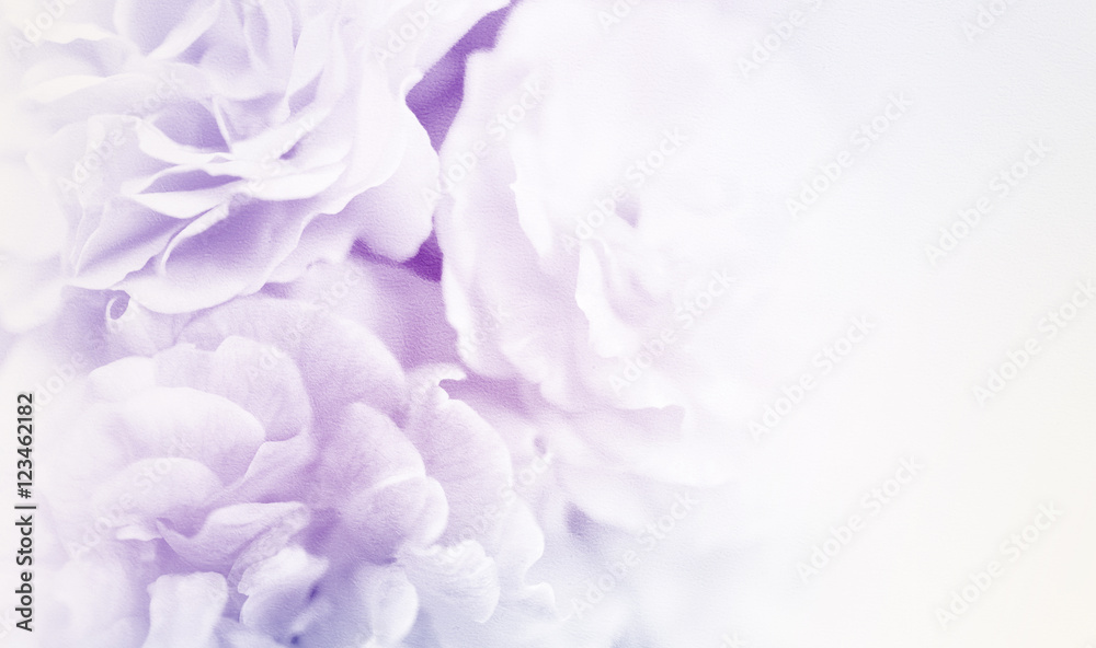 sweet roses in soft color style on mulberry paper texture for background
sweet roses in soft color style on mulberry paper texture for background