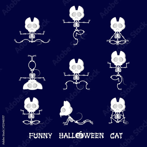 Set of cute and funny skeleton cat in different poses: activity, dance, yoga or gymnastic. Drawing in cartoon style isolated on dark blue background. Set of design elements. Vector illustration