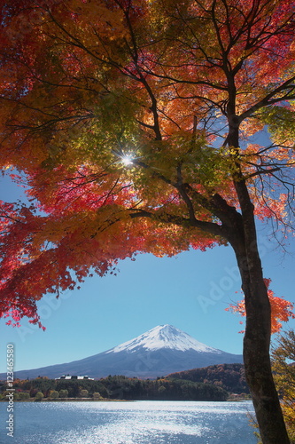 爽やかな秋の湖畔 © wassei