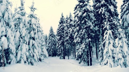 Winter snowy forest with snow covered trees, falling snow and stars. Vintage Christmas, new year slow motion animation. HD 1080.