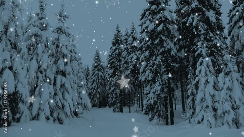 Winter snowy forest with snow covered trees, falling snow and stars. Christmas, new year slow motion animation. HD 1080.