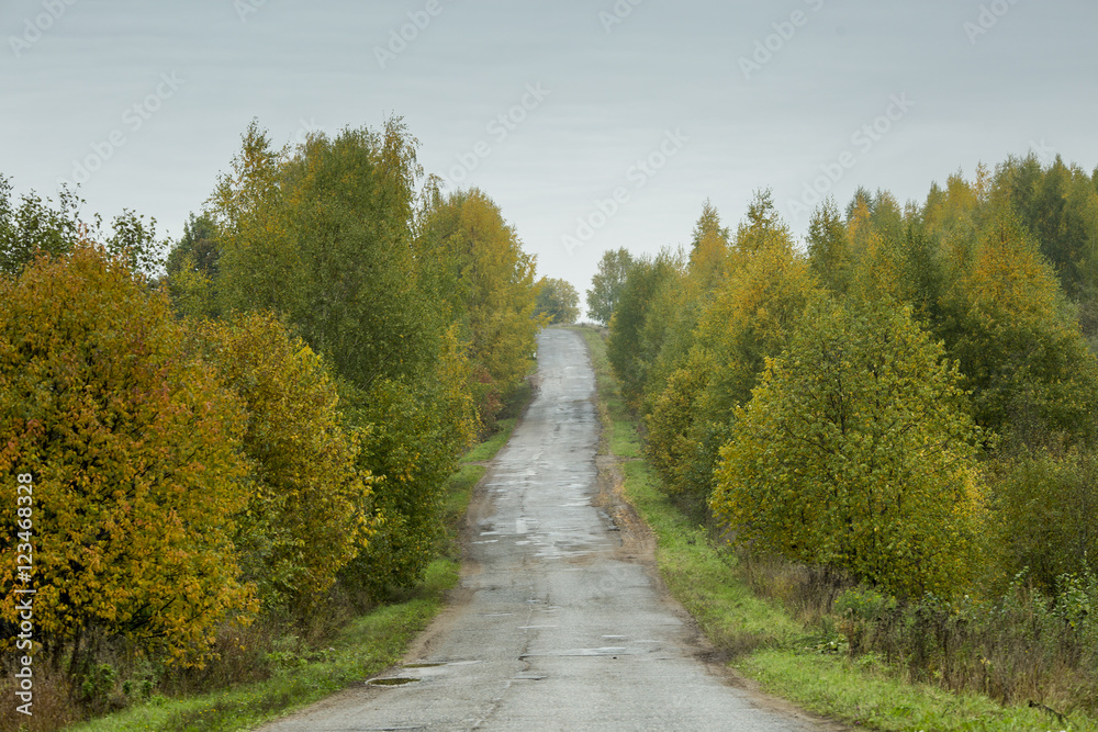 Obraz premium Autumn in the Village in russia nature