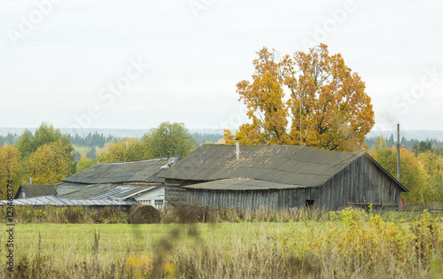 Autumn in the Village in russia nature photo