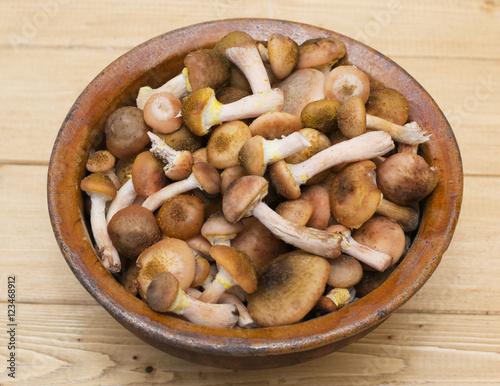 mushrooms in an old clay bowl on a wooden table